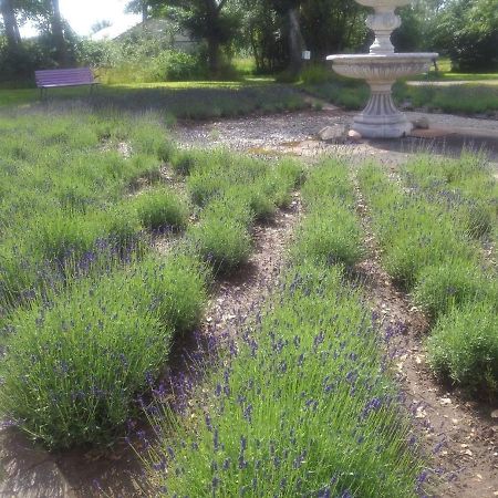 Lavendelbo B&B Hjallerup Luaran gambar