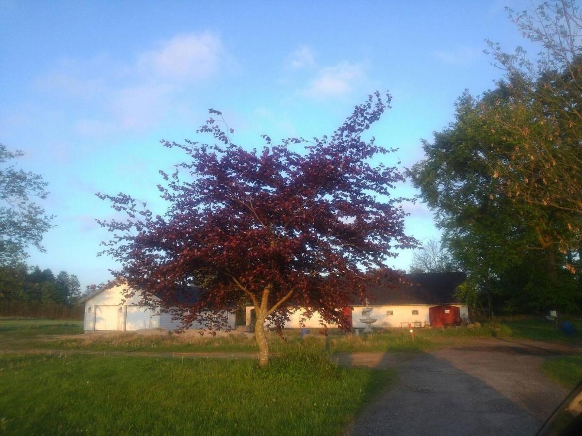 Lavendelbo B&B Hjallerup Luaran gambar